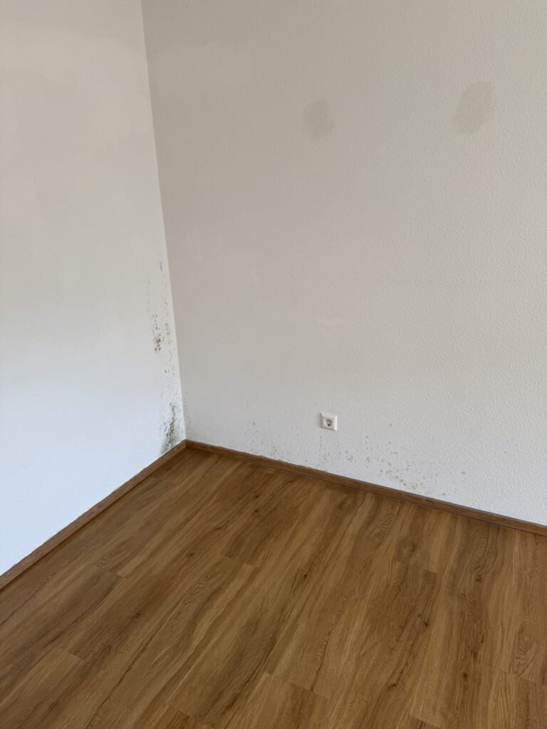 Schimmelsanierung und Schimmelentfernung durch Colorativ Hörner